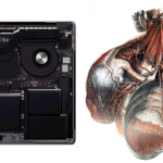 Design is dead, it’s all evolution now